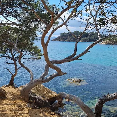 T2 Sea View In Saint-clair - Rated 3 Appartement *